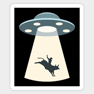 Bull Riding & UFO Magnet